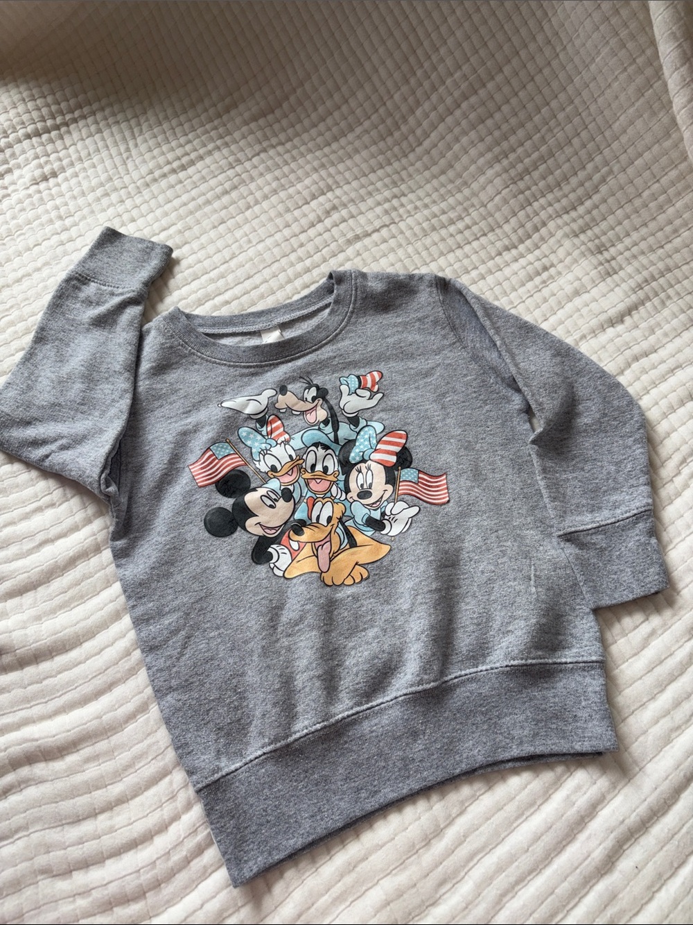 Rabbit Skins Gray Disney Characters Pullover Sweatshirt